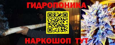 apvp Краснознаменск