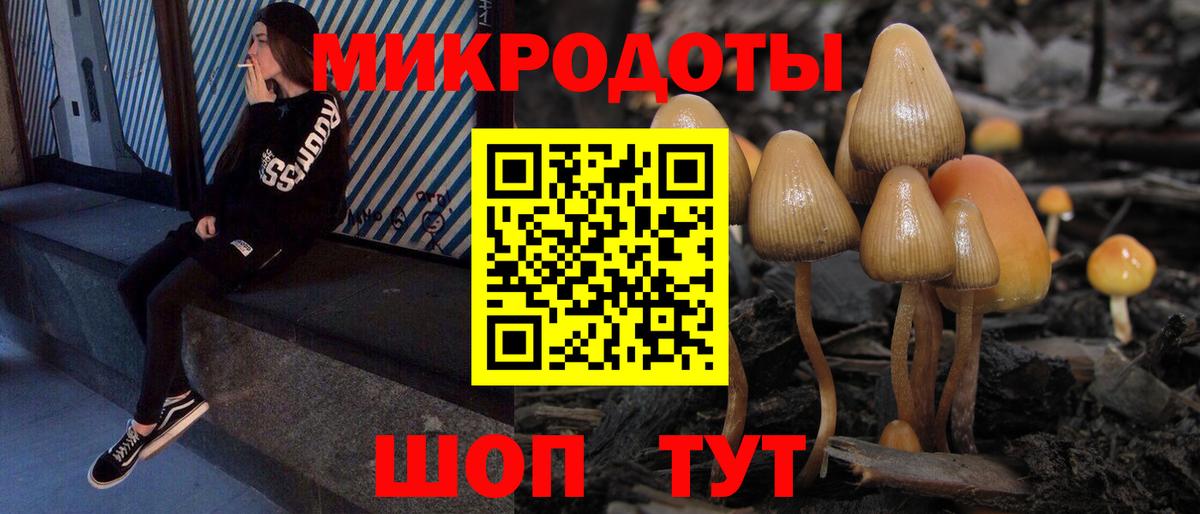 Галлюциногенные грибы мицелий Махачкала