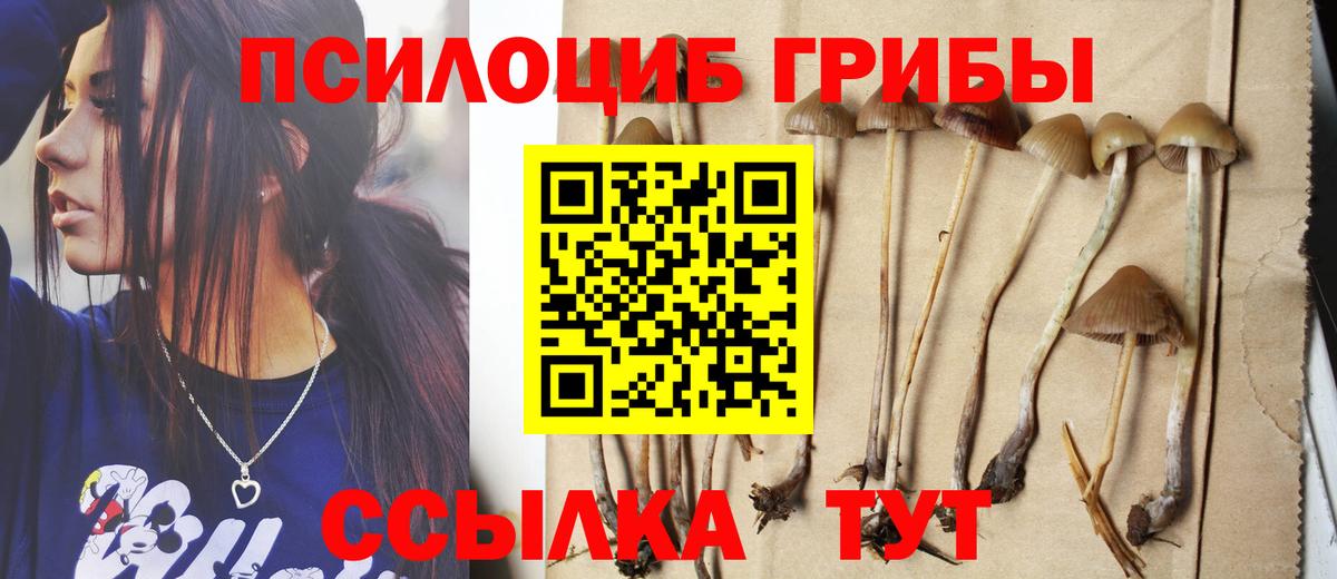 Махачкала  Галлюциногенные грибы GOLDEN TEACHER  Вход с VPN  Галлюциногенные грибы ЛСД 
